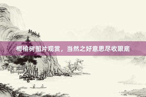 榔榆树图片观赏，当然之好意思尽收眼底