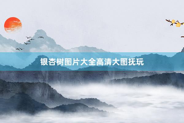 银杏树图片大全高清大图抚玩