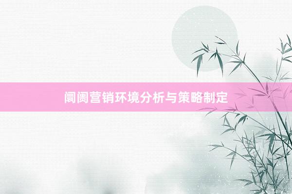 阛阓营销环境分析与策略制定